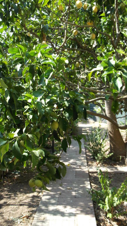 Solimarina Alguer Exterior foto